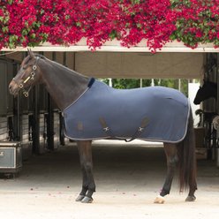 Equinavia Torr Quick Dry Horse Cooler, Navy, 82-in