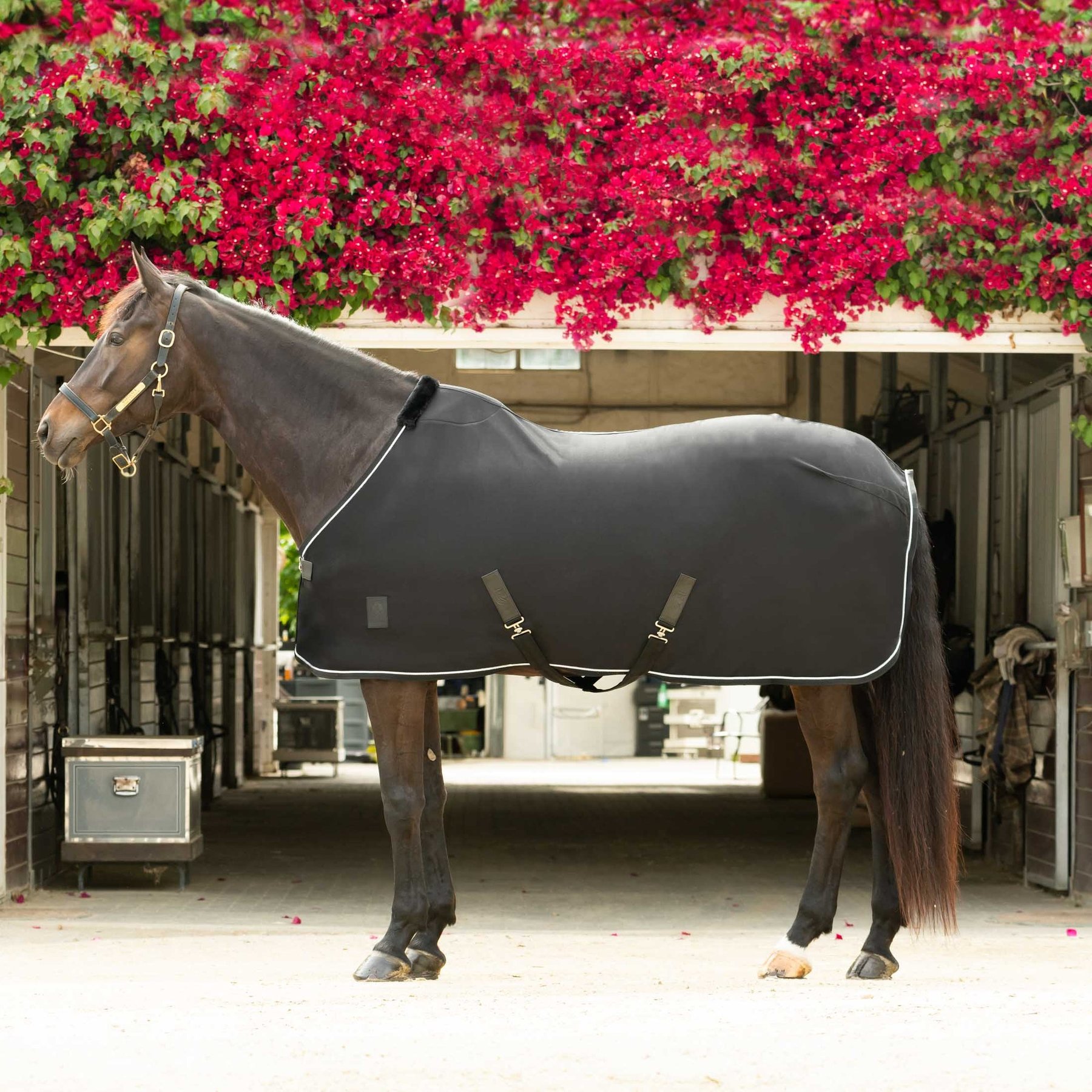 Equinavia Torr Quick Dry Horse Cooler, Black, 76-in