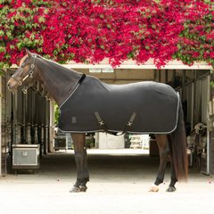 Equinavia Torr Quick Dry Horse Cooler, Black, 82-in