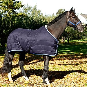 Horze Glasgow 100-g Horse Stable Blanket, Dark Blue, 81-in
