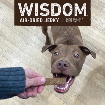 Show full view: Earth Animal Wisdom Air-Dried From the Soil Recipe Premium Natural Insect-Based Jerky Strips Dog Treats, 4-oz bag slide 7 of 10