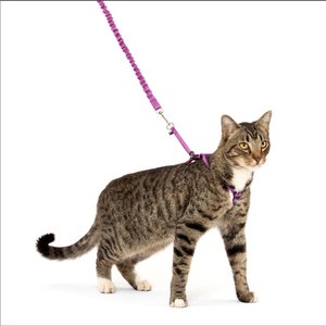 PetSafe Come with Me Kitty Harness Bungee Leash Medium BLACK