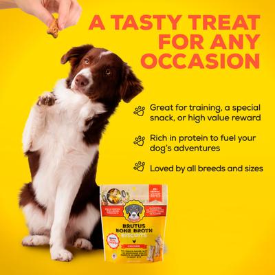 Show full view: Brutus Broth Bone Broth Chicken Biscuits Natural Limited Ingredient Crunchy Dog Treats, 8-oz bag​ slide 5 of 12