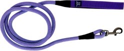 Hamilton A Day Together Luxury Paracord Rope Nylon with Padded Neoprene Handle Dog Leash, Purple, Medium/Large: 5-ft long, 1-in wide