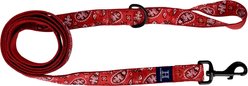 Hamilton A Day Together Ribbon Overlay Nylon Standard Dog Leash, Red Bandana, Medium/Large: 6-ft long, 1-in wide
