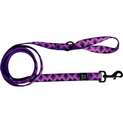 Hamilton Hamilton A Day Together Ribbon Overlay Nylon Standard Dog Leash, Purple Triangle, Medium/Large: 6-ft long, 1-in wide
