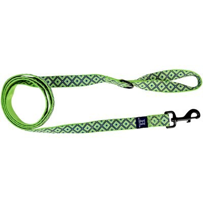 Hamilton Hamilton A Day Together Ribbon Overlay Nylon Standard Dog Leash, Lime Diamond, Medium/Large: 6-ft long, 1-in wide