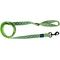 Show in main carousel: Hamilton A Day Together Ribbon Overlay Nylon Standard Dog Leash, Lime Diamond, Medium/Large: 6-ft long, 1-in wide slide 1 of 4