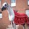 Show in main carousel: Horze Santa Christmas Throw Horse Blanket, Red slide 4 of 9