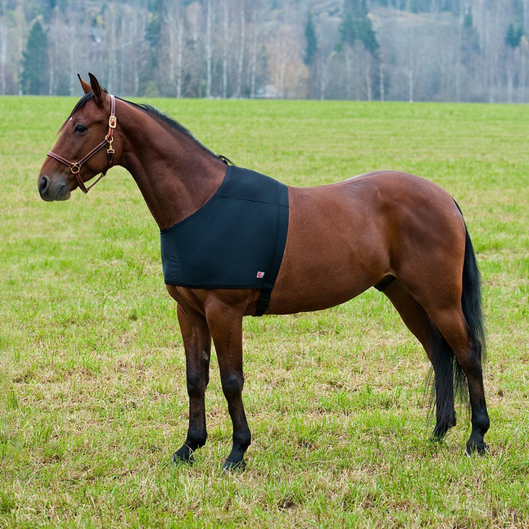Horze ComForce Horse Blanket Shoulder Guard, Black, Medium
