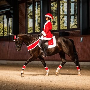 Horze Santa Horse Leg Wraps, 4 count