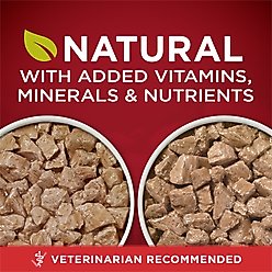 Purina ONE SmartBlend True Instinct Tender Cuts in Gravy Variety Pack Canned Dog Food, 13-oz can, case of 12 slide 2 of 9