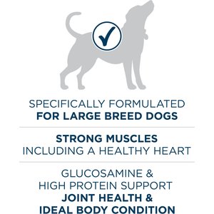 Purina ONE +Plus Natural Large Breed Adult Real Chicken Muscle & Joint Support Large Dry Dog Food, 40-lb bag