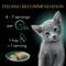 Show in main carousel: Sheba Perfect Portions Kitten Turkey Entree Soft Pate Wet Cat Food Trays, 2.6-oz, case of 24 slide 8 of 11
