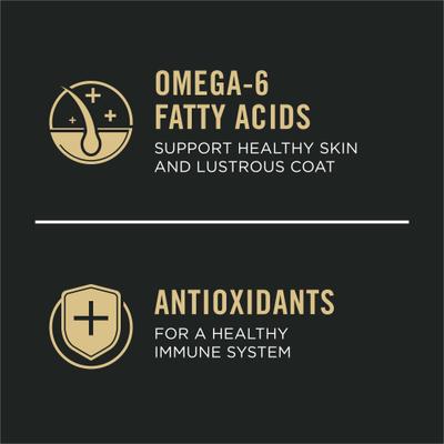 Purina Pro Plan Sensitive Skin & Stomach Adult with Probiotics Lamb & Oat Meal Formula High Protein Dry Dog Food