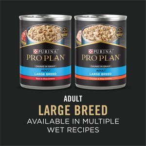 Purina Pro Plan Adult Large Breed Chicken & Rice Formula Dry Dog Food, 34-lb bag