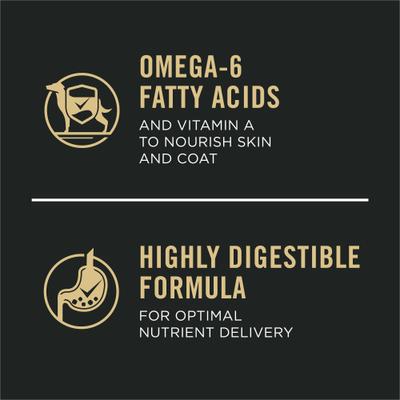 Purina Pro Plan Adult Large Breed Chicken & Rice Formula Dry Dog Food