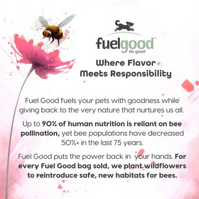 Show full view: Fuel Good Wooffles Pork, Bacon & Banana Recipe High Protein Soft & Chewy Dog Treats, 11-oz bag slide 7 of 10