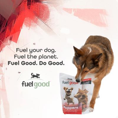 Show full view: Fuel Good Puppers Crunchy Chicken with Bone Marrow & Bone Broth High Protein Crunchy Dog Treats, 12-oz bag slide 8 of 11