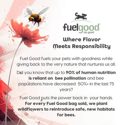 Show full view: Fuel Good Puppers Crunchy Chicken with Bone Marrow & Bone Broth High Protein Crunchy Dog Treats, 12-oz bag slide 7 of 11