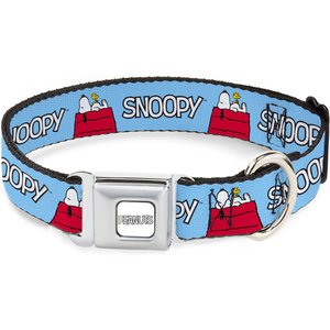 Buckle-Down Peanuts Worldwide LLC Snoopy & Woodstock Dog House Metal Seatbelt Buckle Dog Collar, Sky Blue, Large: 15 to 24-in neck, 1-in wide