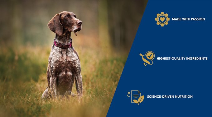 Next Level Super Premium Pet Food Hi-Pro 30 LS Adult Gluten-Free Beef Dry Dog Food