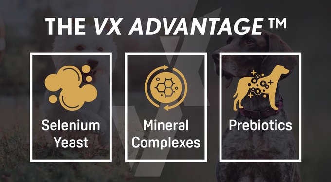 Next Level Super Premium Pet Food Hi-Pro 30 LS Adult Gluten-Free Beef Dry Dog Food