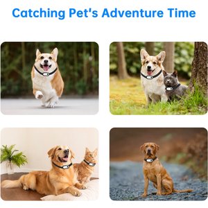 Luckylala Pet Tracking Camera Collar, White, 64 GB
