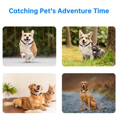 Show full view: Luckylala Pet Tracking Camera Collar, White, 32 GB slide 5 of 10