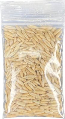 Show full view: Multipet Catnip Garden Grass Kit Cat Toy, White slide 4 of 4