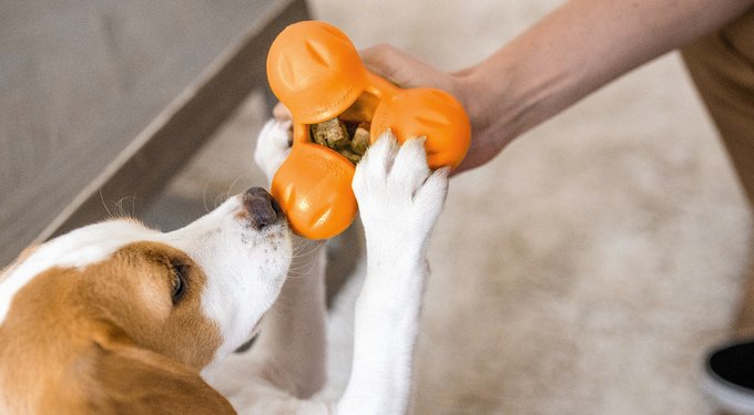 West Paw Zogoflex Toppl Tough Treat Dispensing Dog Chew Toy