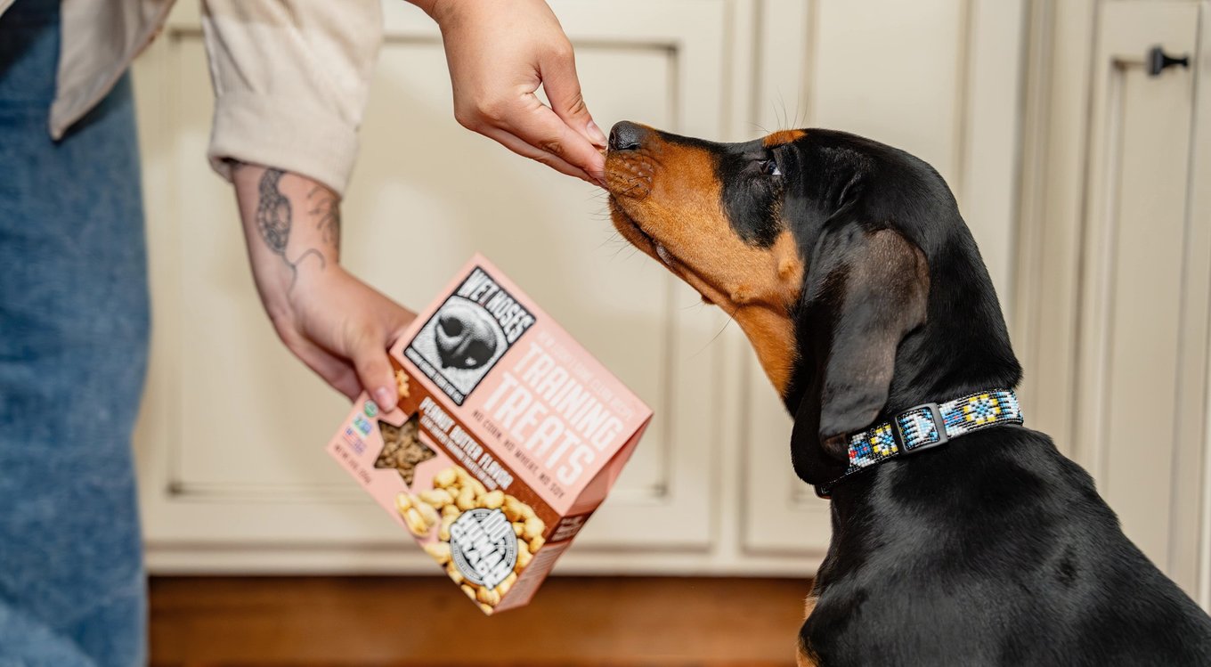 Wet Noses Apples & Carrots Big Bone Dog Treats