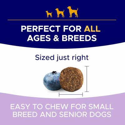 Show full view: GoodGrowlies Probiotic Gut Health Blend Hickory Bacon Flavored Soft Chew Supplement for Dogs, 120 count slide 6 of 10