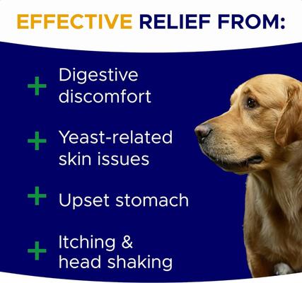 Show full view: GoodGrowlies Probiotic Gut Health Blend Hickory Bacon Flavored Soft Chew Supplement for Dogs, 120 count slide 5 of 10