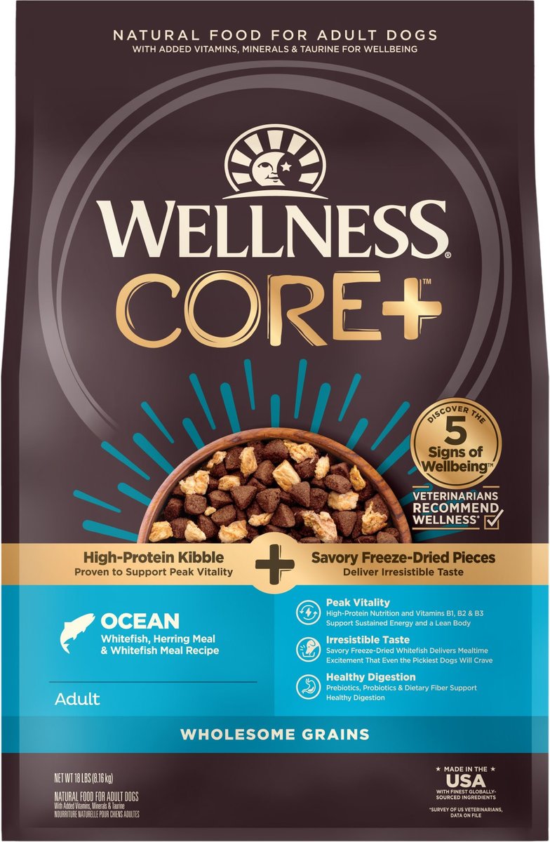 Wellness CORE+ Wholesome Grains Ocean Recipe High Protein Dry Dog Food