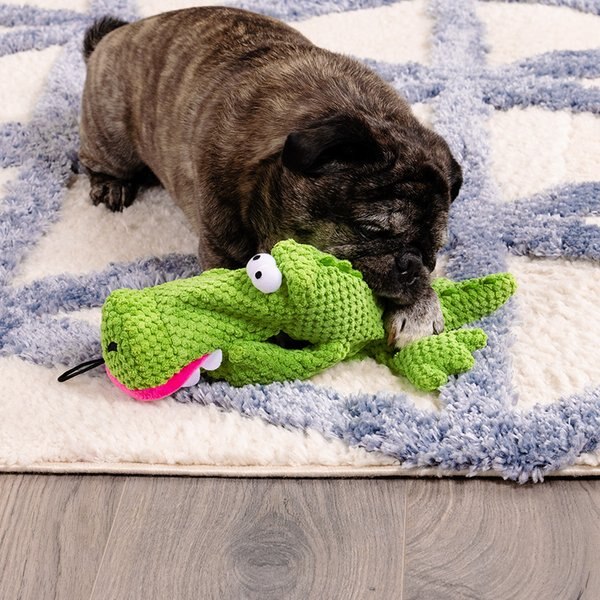 Charming Pet Springys Platypus Squeaky Dog Toy