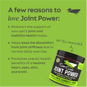 Super Snouts Joint Power Powder Joint Supplement for Dogs & Cats, 2.64-oz jar