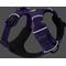 Show in main carousel: Ruffwear Front Range Dog Harness, Purple Sage, Large/X-Large: 32 to 42-in chest slide 3 of 5