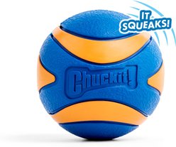 Chuckit! Ultra Squeaker Ball Dog Toy, Large