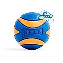 Chuckit! Ultra Squeaker Ball Dog Toy, Large