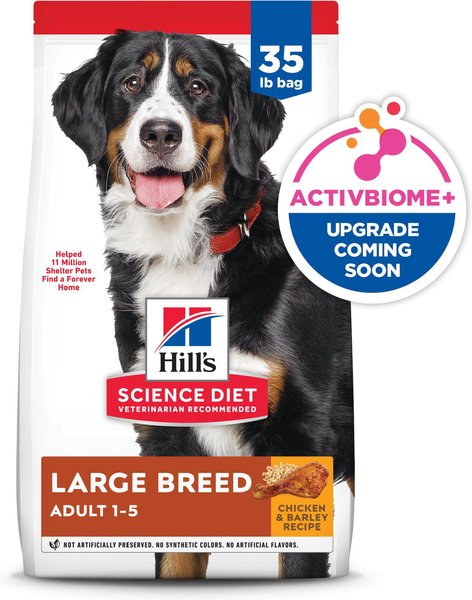 Dry dog food for big dogs shops