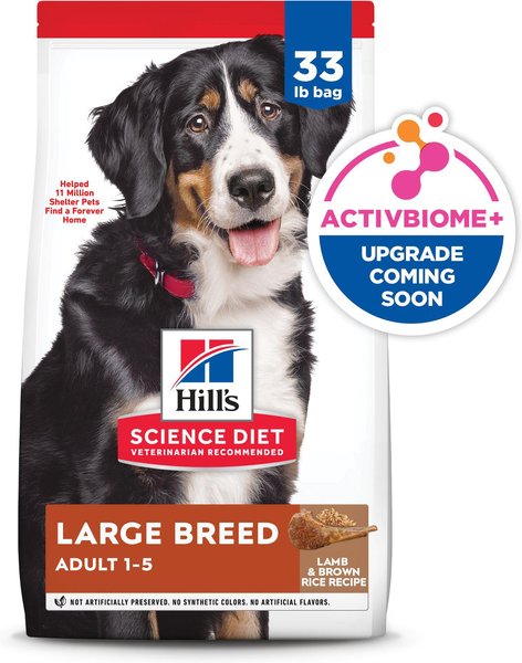 Hill's science diet large breed puppy lamb and rice hotsell