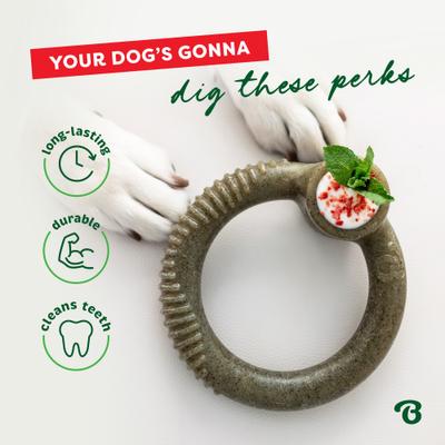 Show full view: Benebone Christmas Ring Peppermint Tough Dog Chew Toy, Large slide 5 of 8