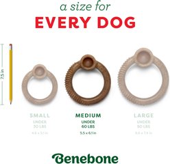 Benebone Christmas Ring Peppermint Tough Dog Chew Toy, Medium slide 2 of 7