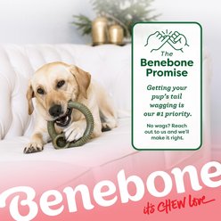 Benebone Christmas Ring Peppermint Tough Dog Chew Toy, Large slide 2 of 7