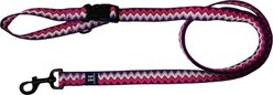 Hamilton Nylon Weave Adjustable Multi-Function Standard Dog Leash, Purple, Medium/Large: 4 to 6-ft long, 1-in wide