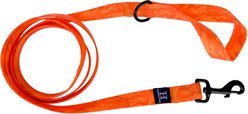Hamilton Go Boldly Waterproof Polyester Standard Dog Leash, Orange, Medium/Large: 6-ft long, 1-in wide