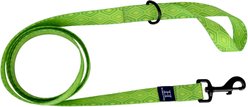 Hamilton Go Boldly Waterproof Polyester Standard Dog Leash, Lime, Medium/Large: 6-ft long, 1-in wide