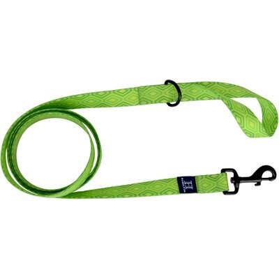Hamilton Hamilton Go Boldly Waterproof Polyester Standard Dog Leash, Lime, Medium/Large: 6-ft long, 1-in wide