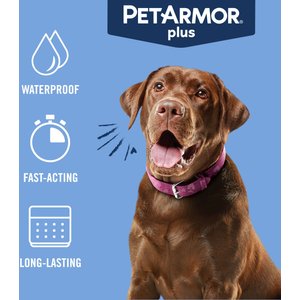 PetArmor Plus Flea & Tick Spot Treatment for Dogs, 45-88 lbs, 6 Doses (6-mos. supply)